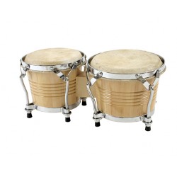Bongo